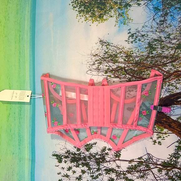 For Love & Lemons Corset - Picture 3 of 6